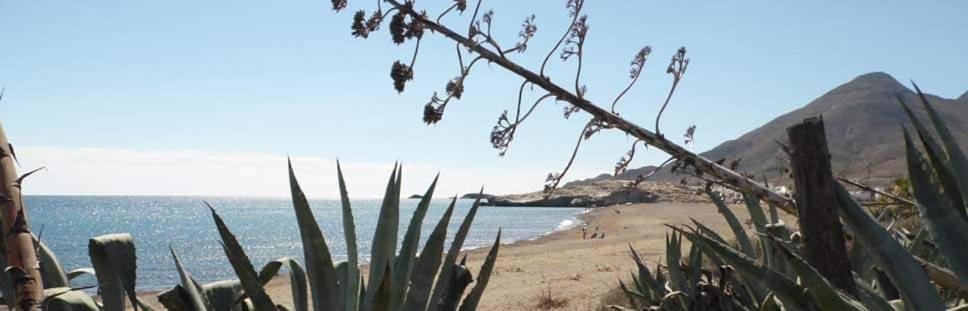 Hostal Casa Emilio Almería Eksteriør bilde